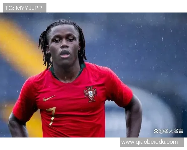 天才足球明星的定义与特征解析以及他们对足球运动的影响与贡献